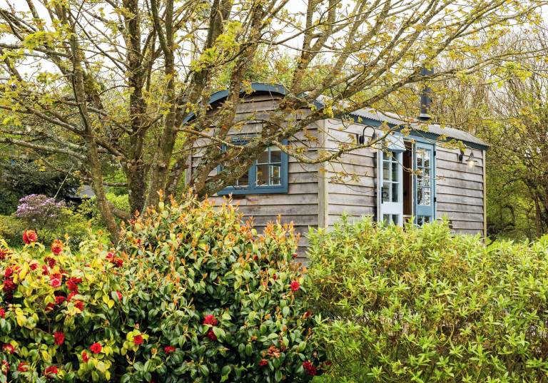 Cabin Nevern