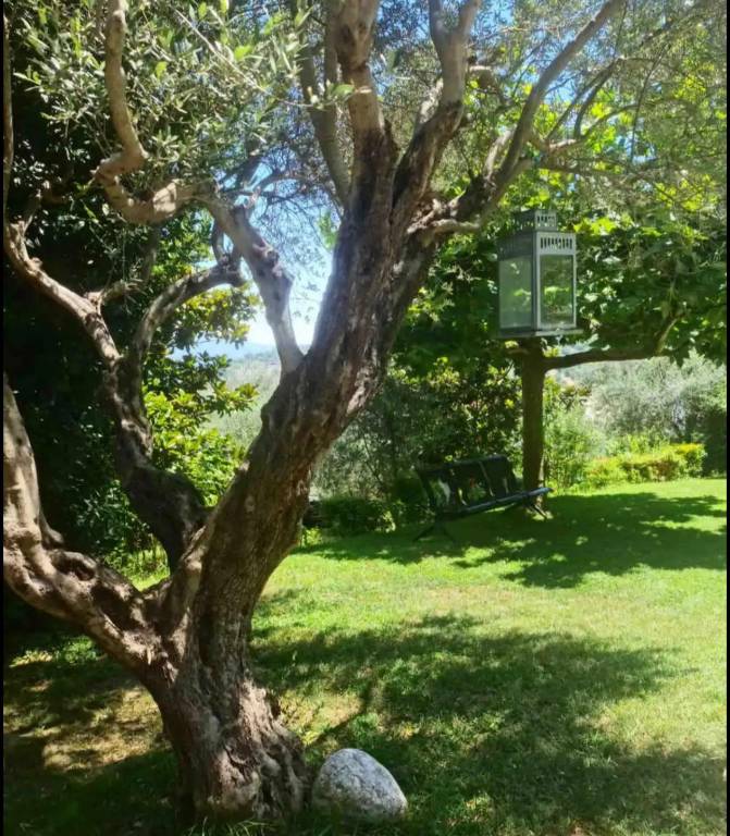 foto20