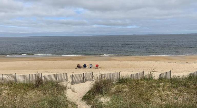 Ample house | Dogs allowed in Norfolk, VA
