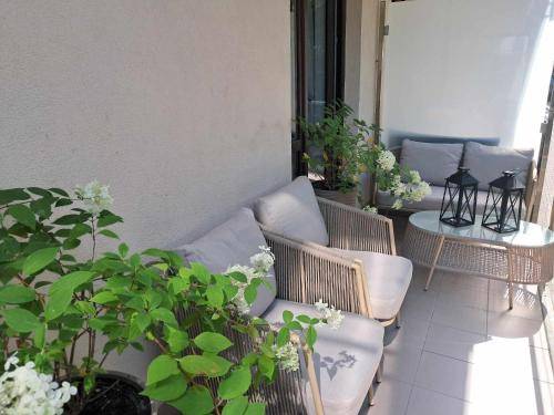 Apartament Krynica Morska