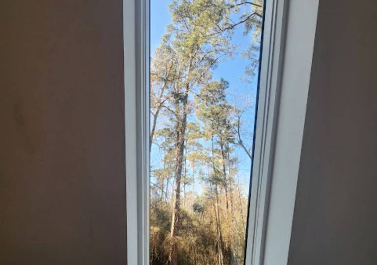 foto19