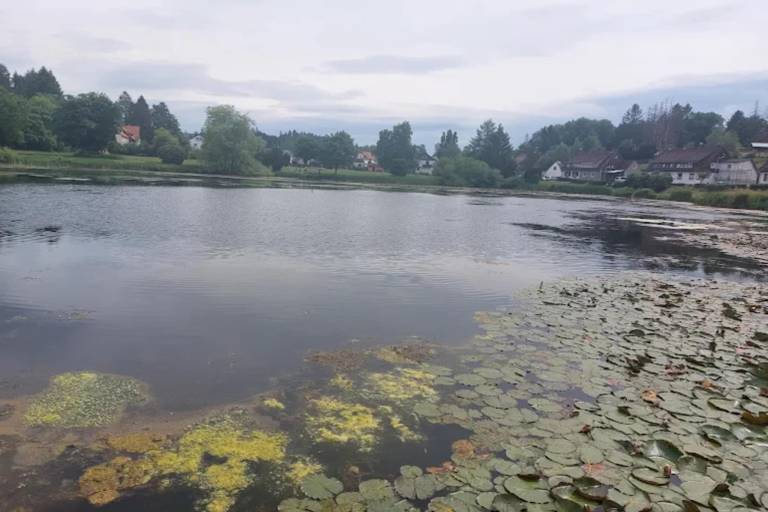 foto20