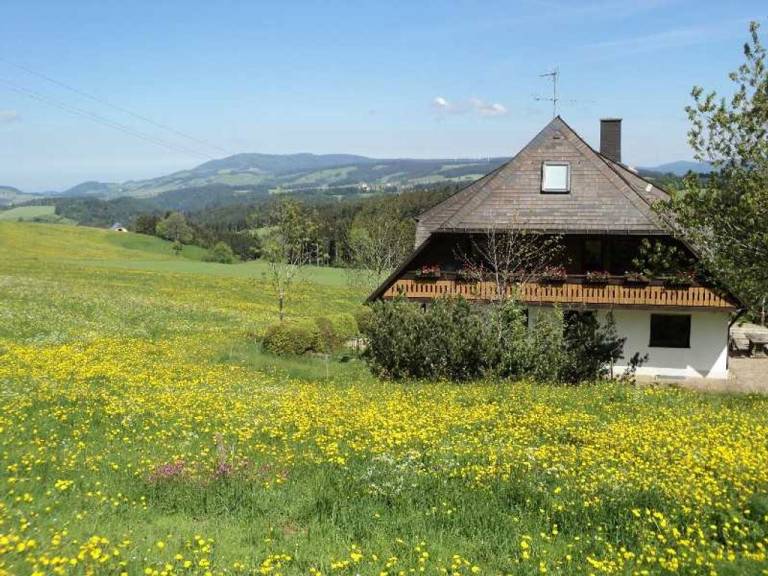 Ferienwohnung Hinterzarten