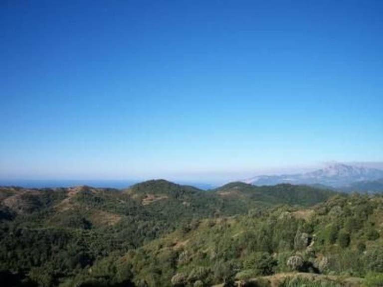 Fully equipped rental apartment with yard, grill & patio | Nature view | Pet-friendly — photo 4