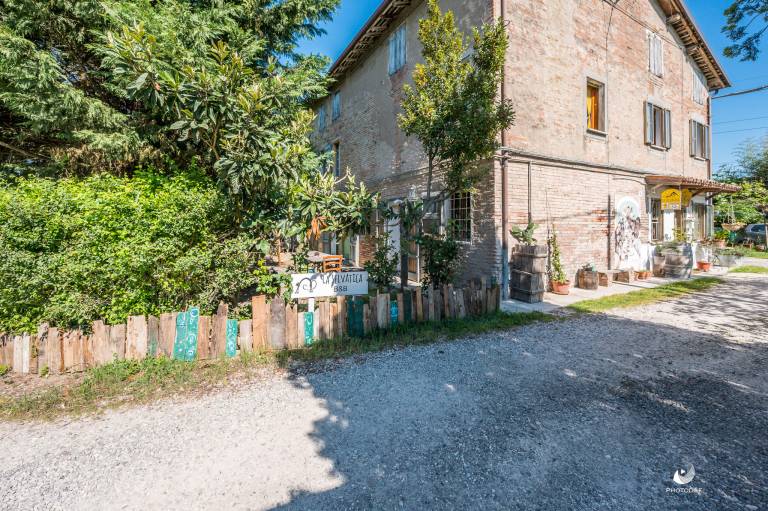 foto15