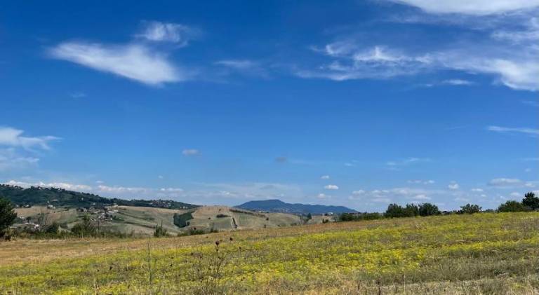 Bed and Breakfast Dimora Peluso — photo 3