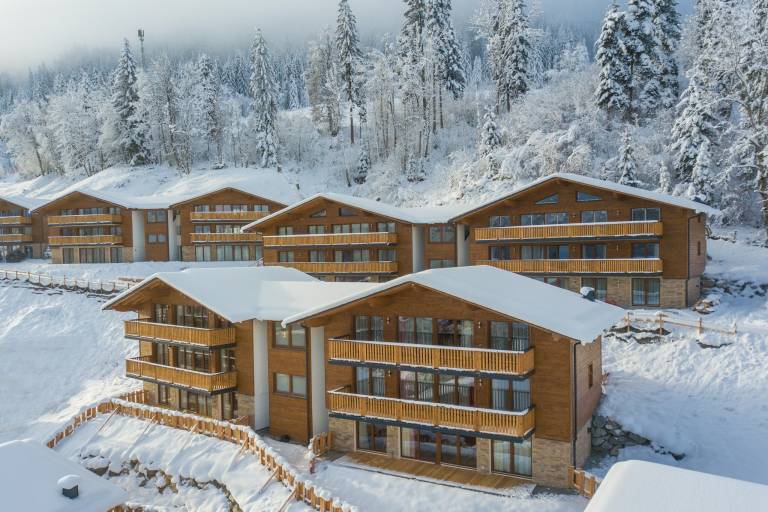 Chalet  Flachau