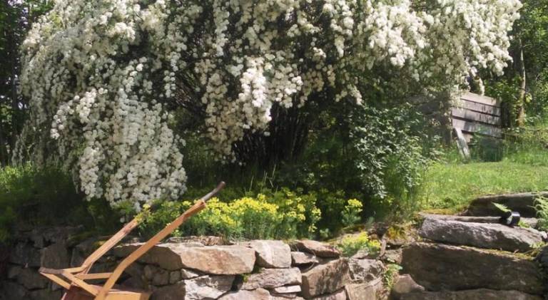 foto9