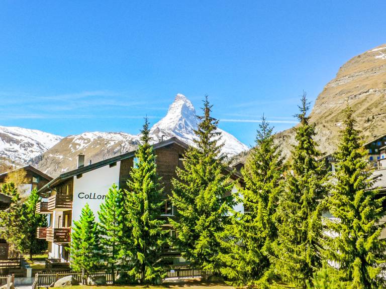 Ferienwohnung Zermatt