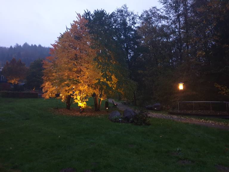 foto21