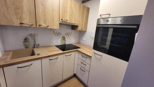 Apartma Bitnje