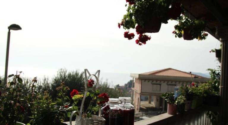 Ferienwohnung  Budva Municipality