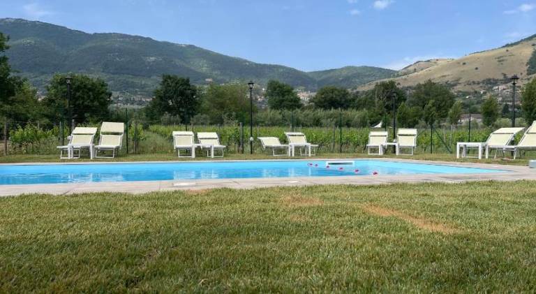Child-friendly farm with yard, patio & pool | Pets allowed — photo 4