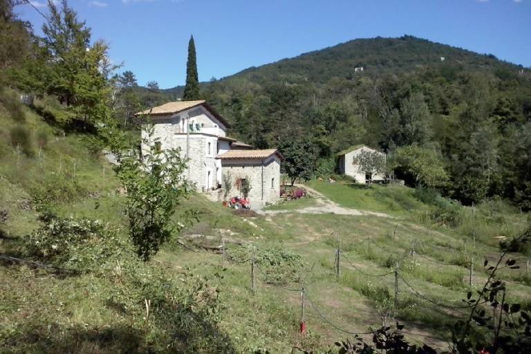 foto31