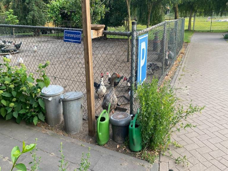 foto36
