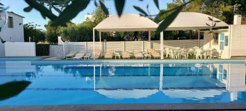 Serviced apartment | Pets are welcome in Alberobello