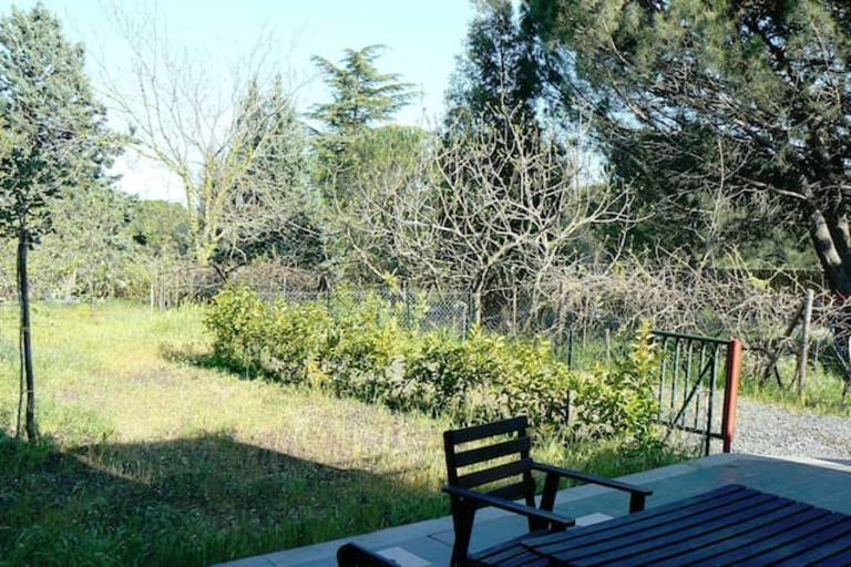 foto35