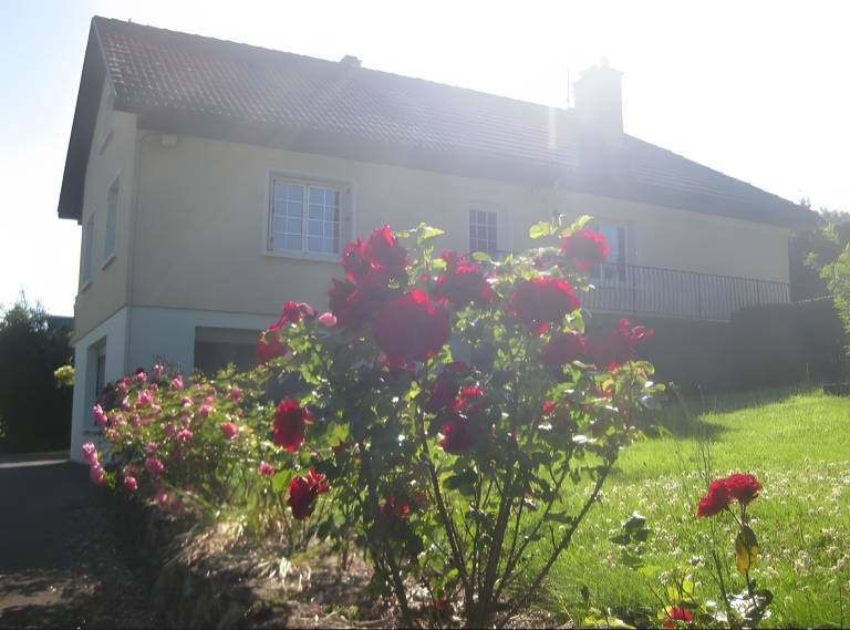Bed & breakfast with fast internet, yard & terrace | River view — photo 4