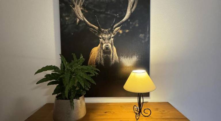 foto7