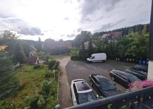 foto1