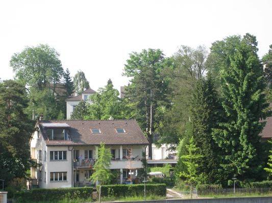 Apartment Lucerne