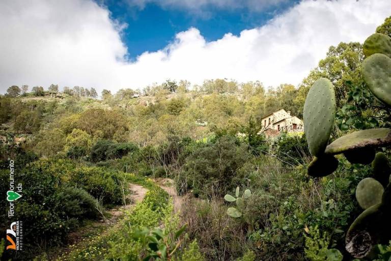 Casa rural Arucas