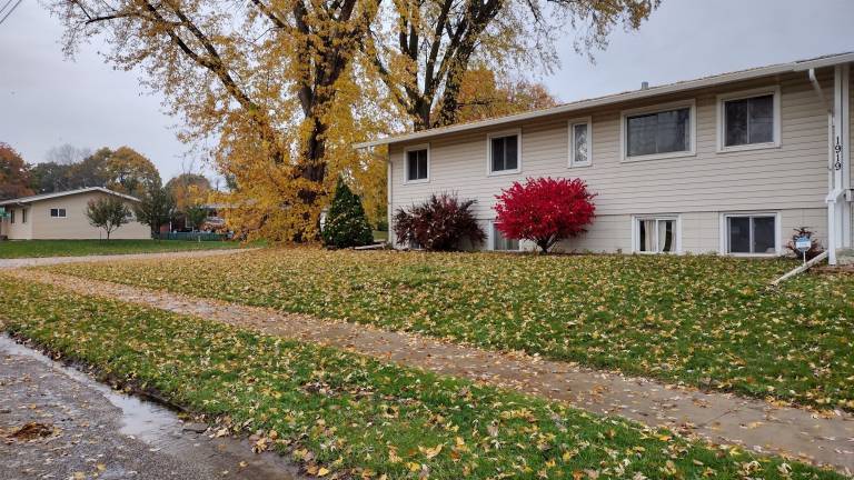 House Rochester