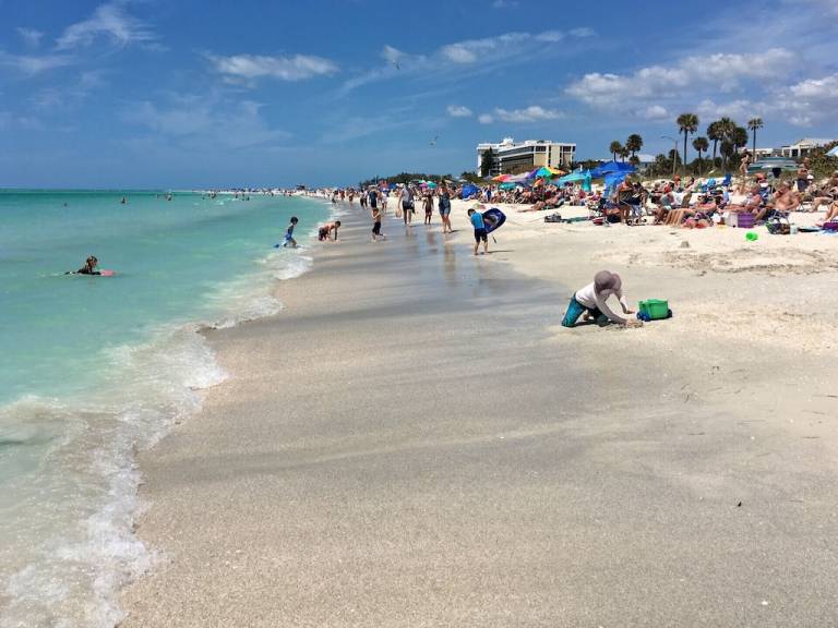Apartment Lido Key