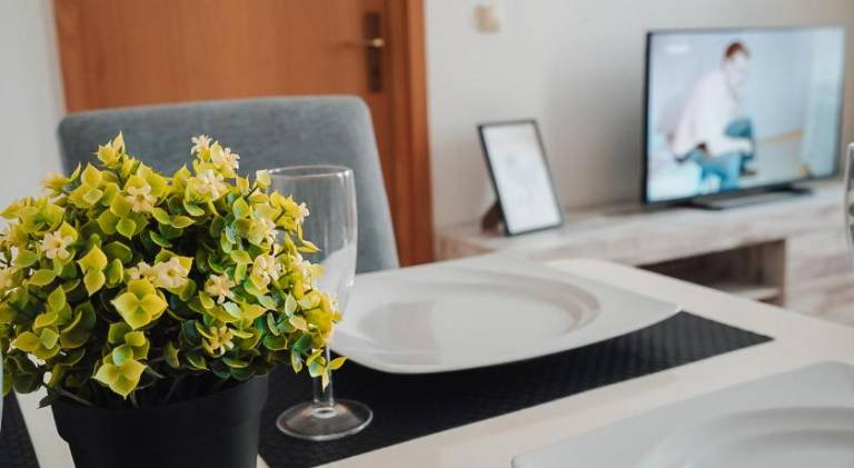 Nice holiday apartment | Pets allowed — photo 5