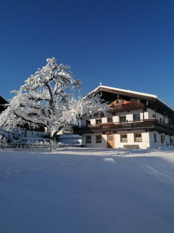 foto15