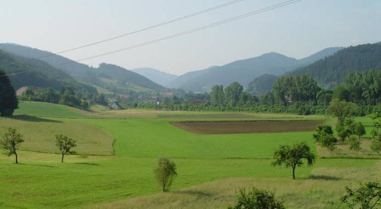foto8