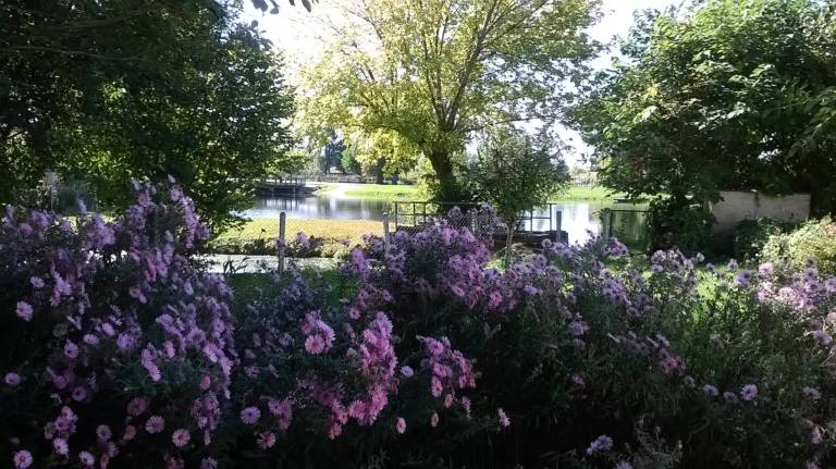 foto14