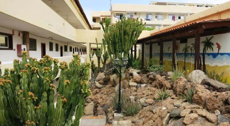 Charming rental apartment with pool | Dogs allowed in Adeje