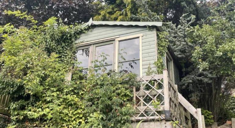 House with yard — photo 4