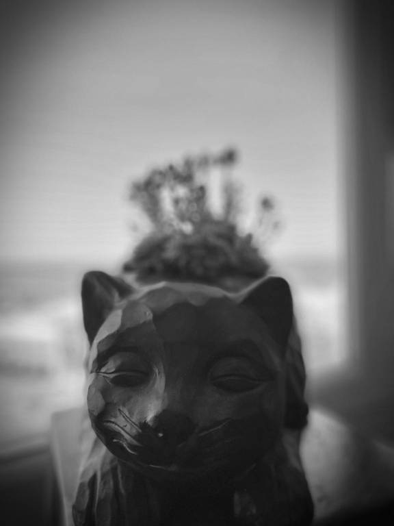 118 m&sup2; Ferienwohnung