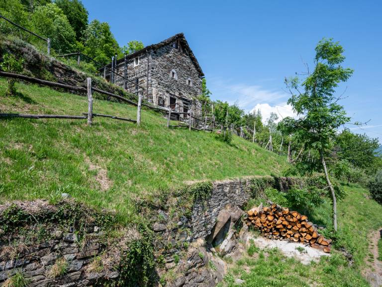 foto21