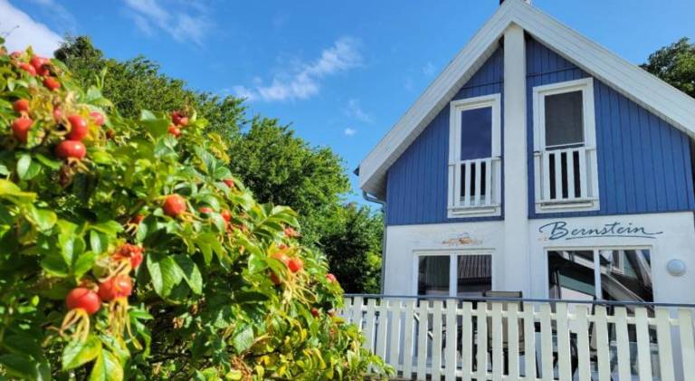Vacation home with jacuzzi in Breege