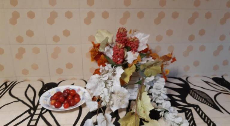 Bed and breakfast IMOLA — photo 5