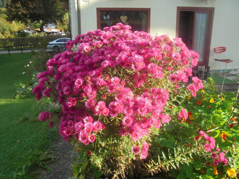 foto37