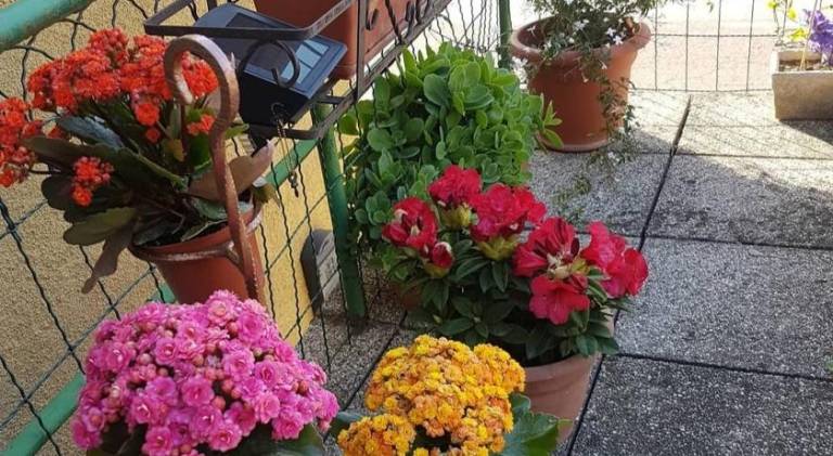 foto49