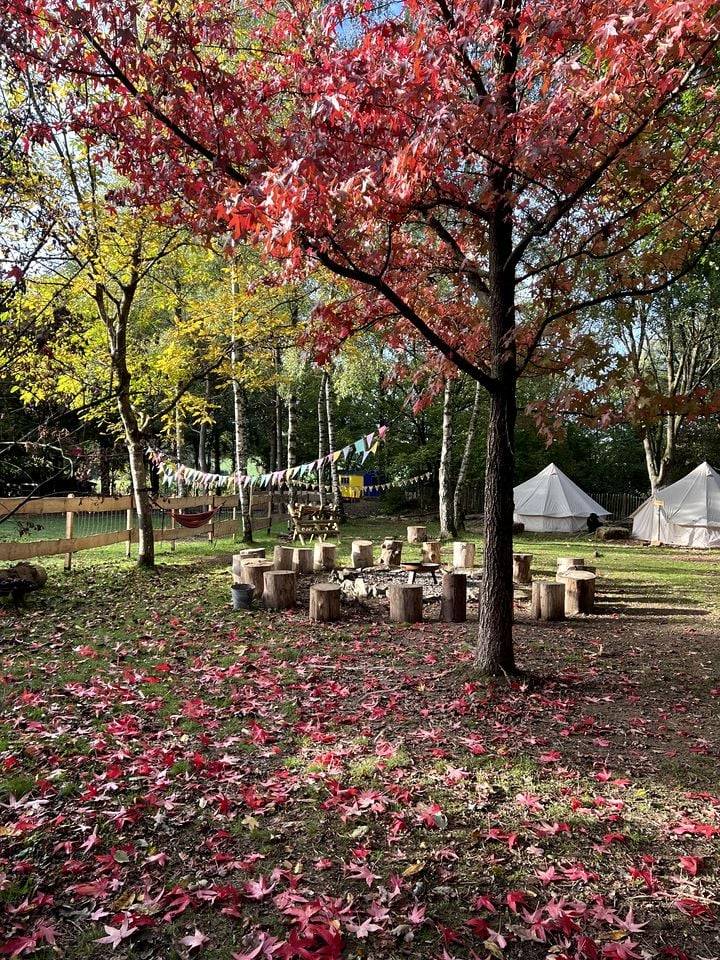 foto15