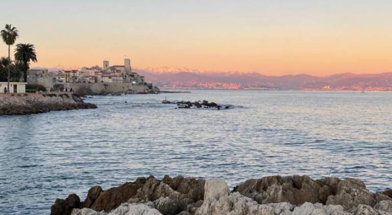 Cozy studio on the beach in Antibes