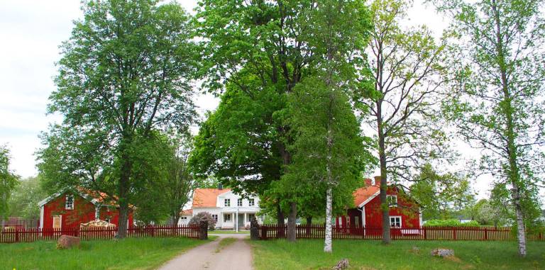 Ferienhaus Ydre