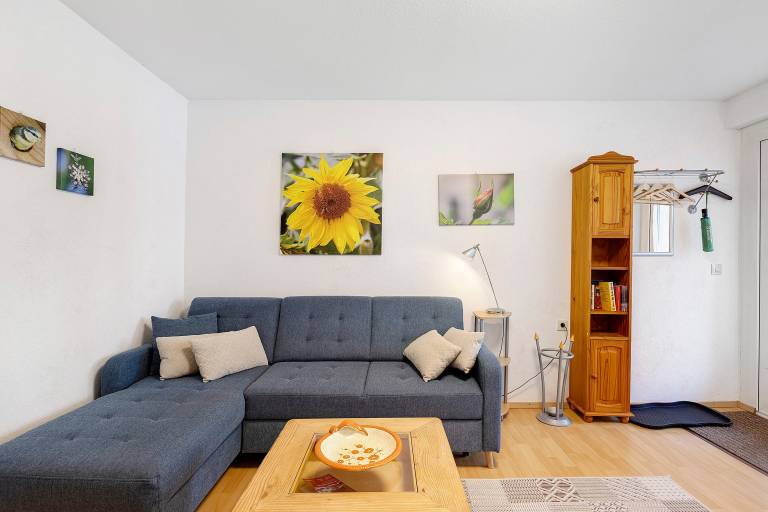 Apartment with patio | Garden view | Good for workation | Pet-friendly in Villingen-Schwenningen