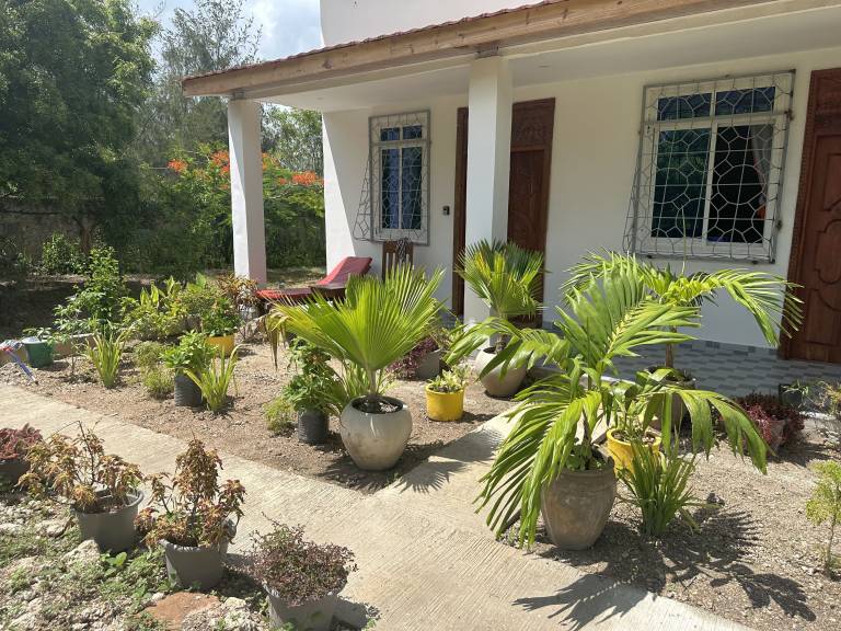 Ferienwohnung in Paje, Kusini, Kroatien für max. 2 Personen Ferienwohnung in Paje, Kusini, Kroatien für max. 2 Personen