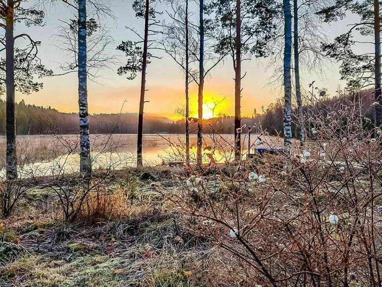 foto14