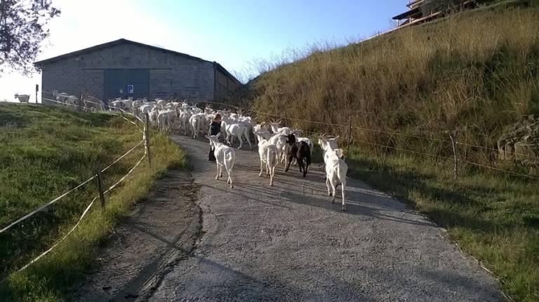 foto40