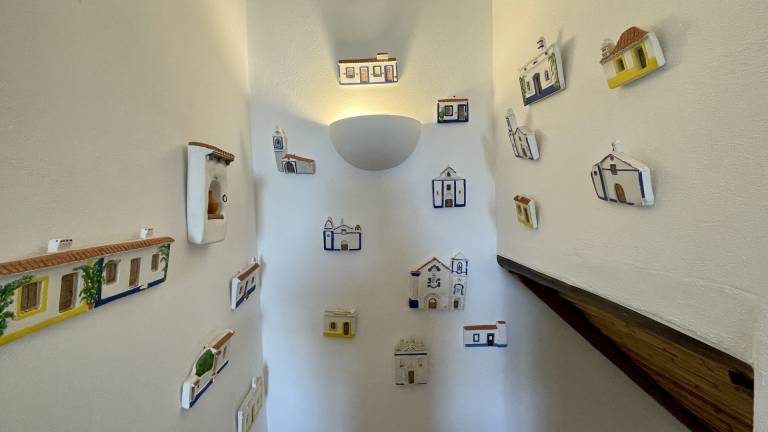 foto41