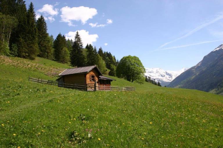 House Bucheben