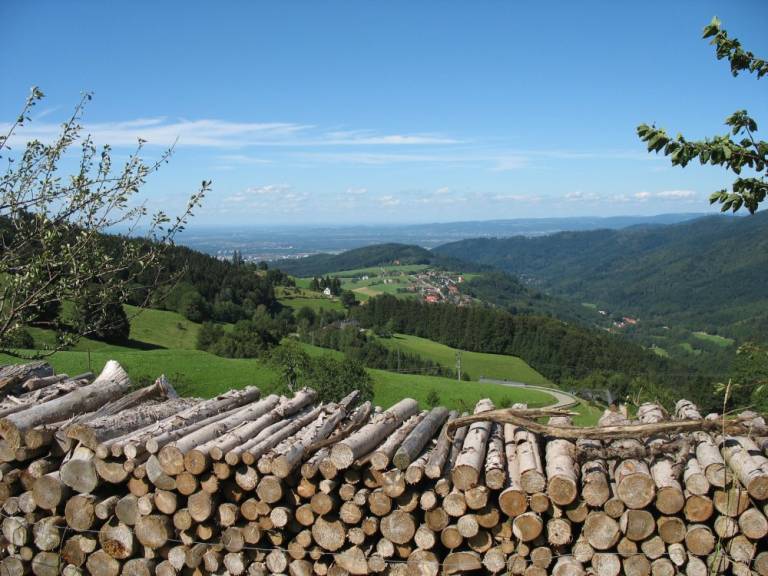 foto9